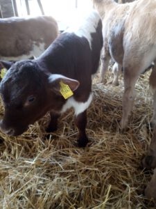 IMG_20210425_081809069