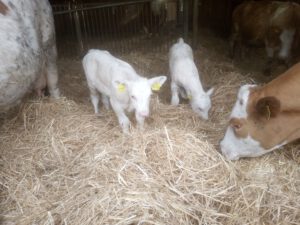 IMG_20210521_195507919