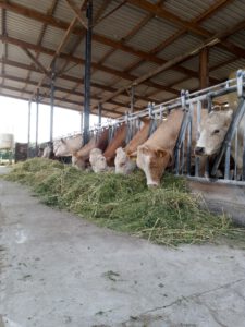 IMG_20210704_105701131