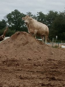 IMG_20210919_165310118