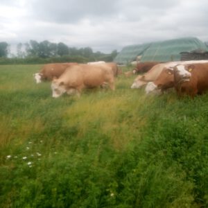 05_667d7c1f-7611-41c1-8dc3-39281c7c132d-1_all_3641